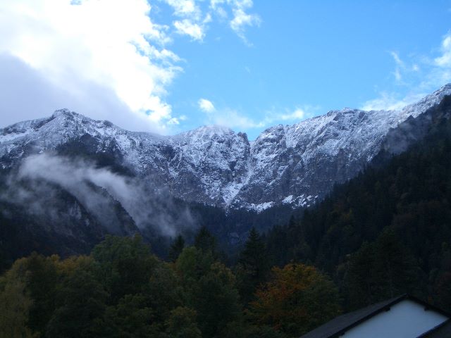 ../Images/124.jpg